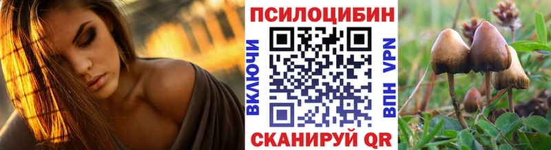 Псилоцибиновые грибы мицелий  Устюжна 